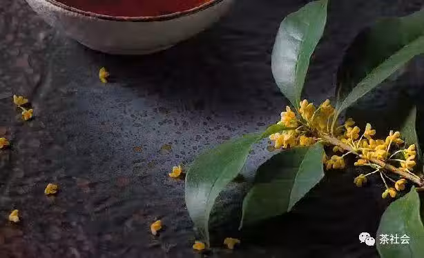 /www/bananadaily.net/web/images/image/2037/20376771.avif