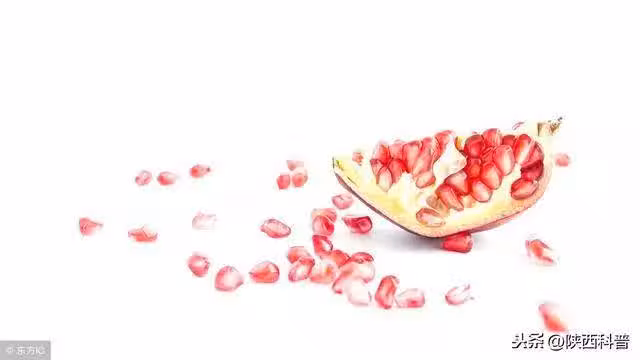 /www/bananadaily.net/web/images/image/2037/20377461.avif