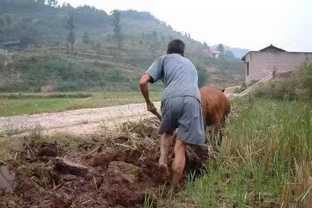 /www/bananadaily.net/web/images/image/2037/20378246.avif