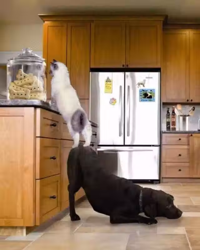 /www/bananadaily.net/web/images/image/2038/20386294.avif