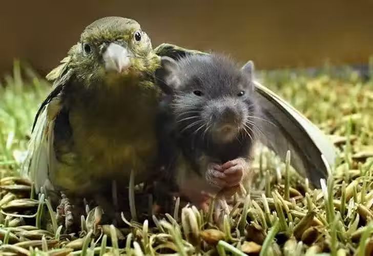 /www/bananadaily.net/web/images/image/2038/20386303.avif