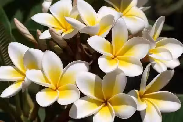/www/bananadaily.net/web/images/image/2039/20398457.avif