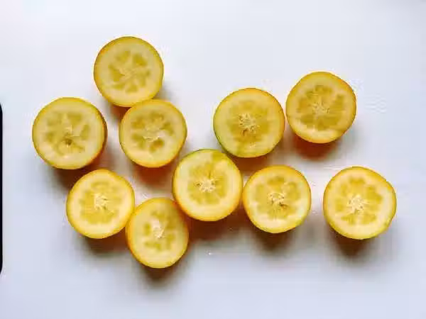 /www/bananadaily.net/web/images/image/2043/20438508.avif