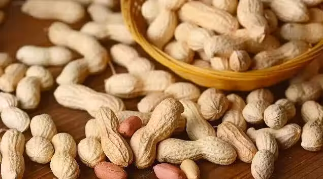 /www/bananadaily.net/web/images/image/2044/20441025.avif