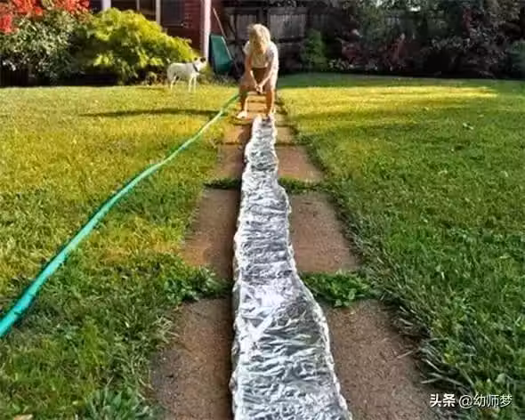 /www/bananadaily.net/web/images/image/2044/20445363.avif
