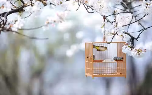 /www/bananadaily.net/web/images/image/2181/21814007.avif