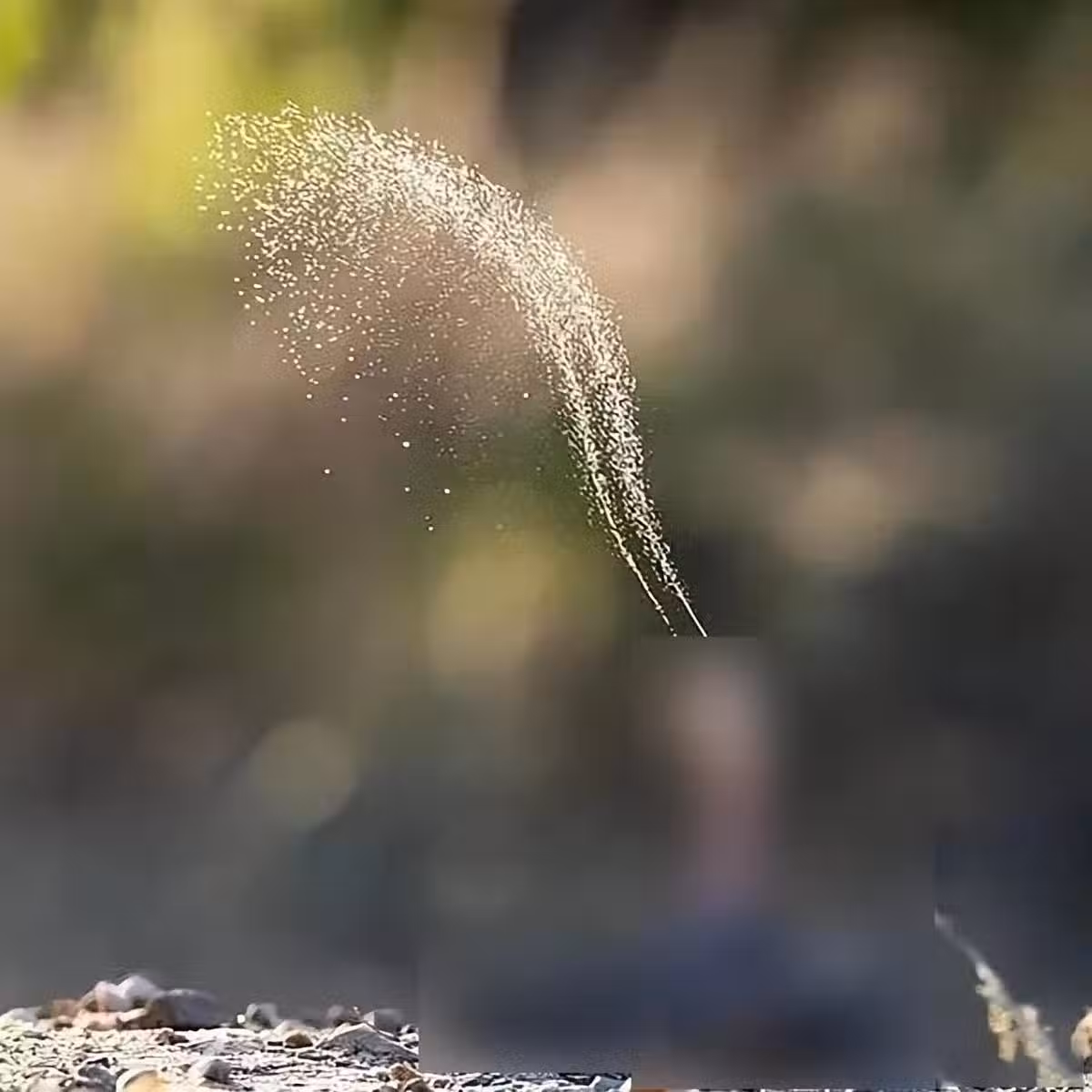 /www/bananadaily.net/web/images/image/2183/21839138.avif