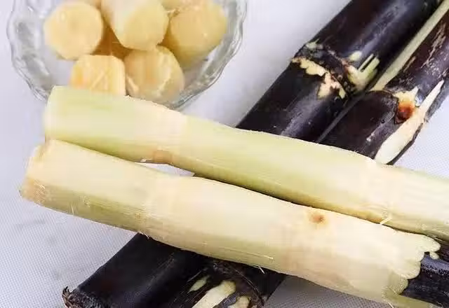 /www/bananadaily.net/web/images/image/2199/21995552.avif