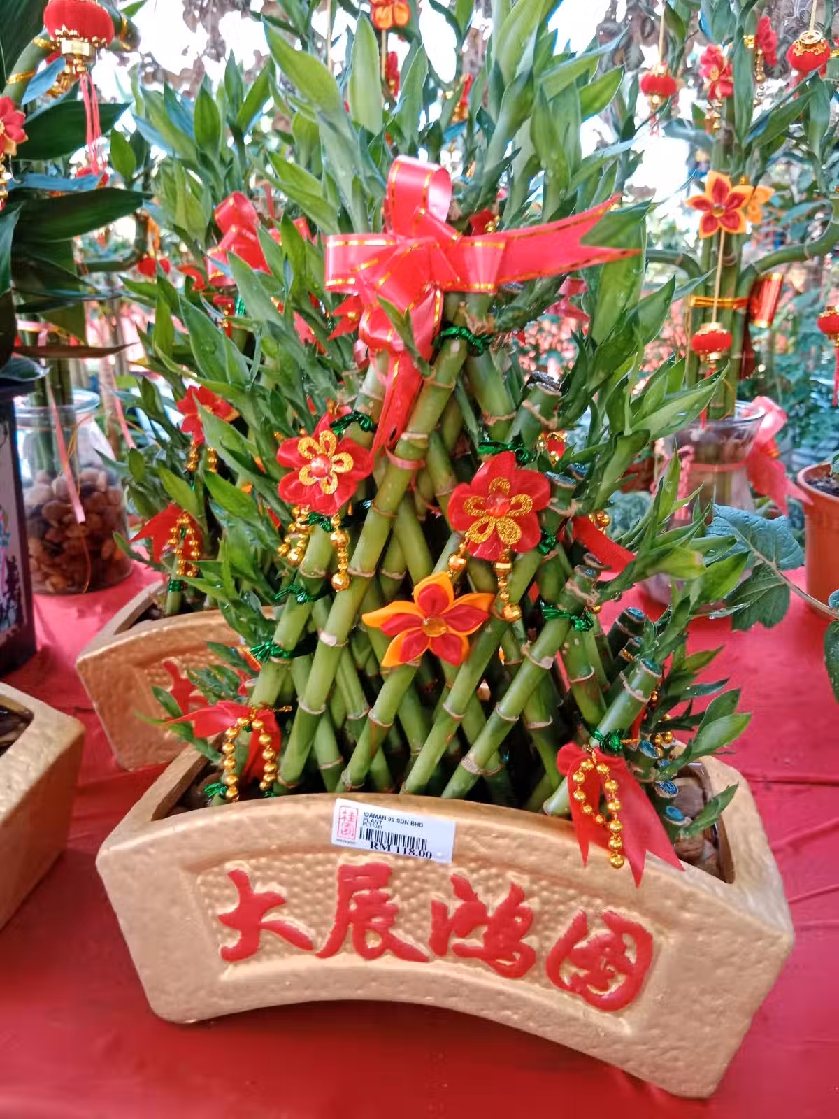 /www/bananadaily.net/web/images/image/2204/22040873.avif