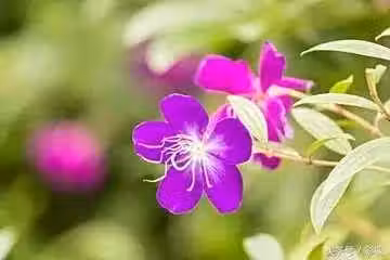 /www/bananadaily.net/web/images/image/2219/22192628.avif