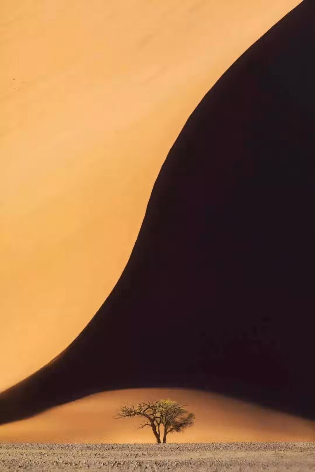 /www/bananadaily.net/web/images/image/2232/22323060.avif