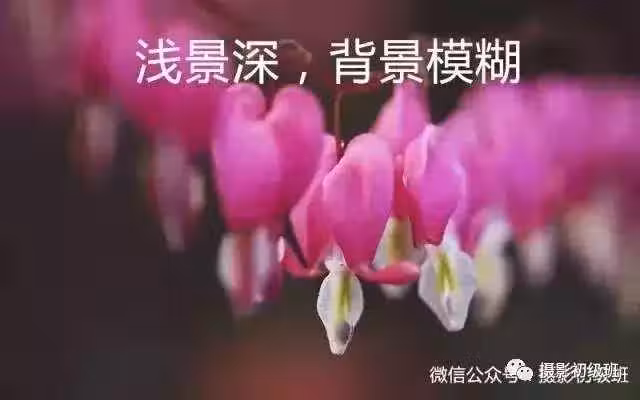 /www/bananadaily.net/web/images/image/2232/22323070.avif