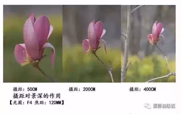 /www/bananadaily.net/web/images/image/2232/22323073.avif