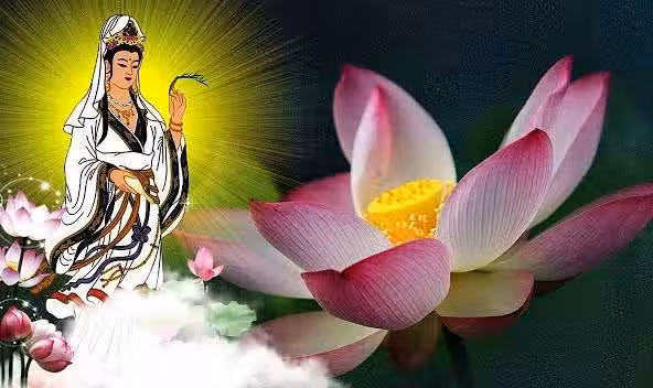 /www/bananadaily.net/web/images/image/2232/22323547.avif