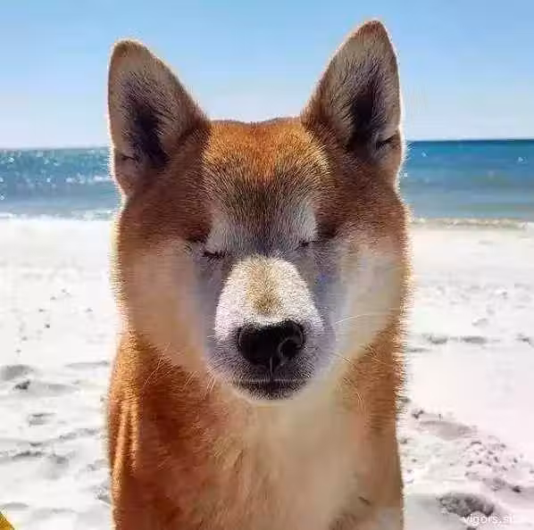 /www/bananadaily.net/web/images/image/2232/22325529.avif
