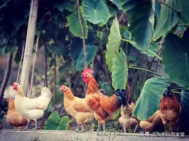 /www/bananadaily.net/web/images/image/2232/22326236.avif