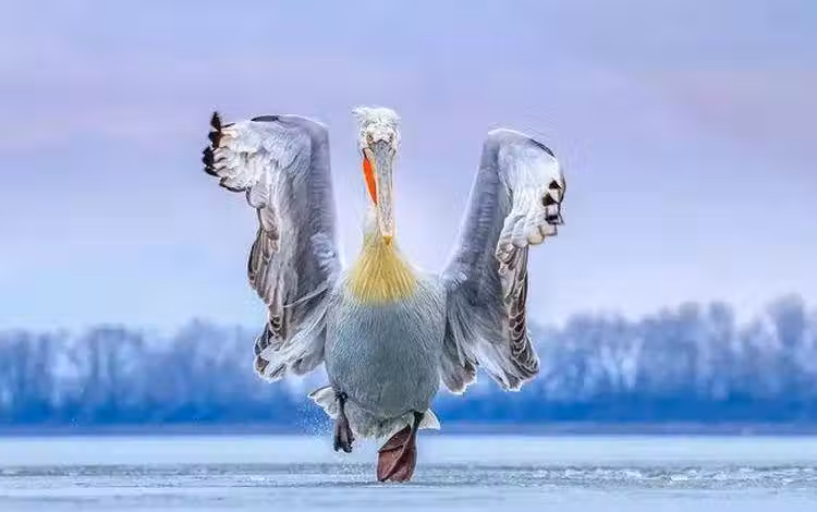 /www/bananadaily.net/web/images/image/2232/22326287.avif