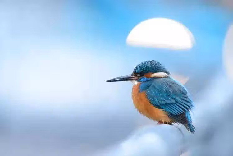 /www/bananadaily.net/web/images/image/2232/22326290.avif