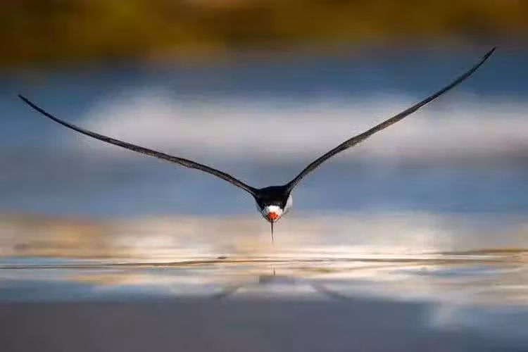 /www/bananadaily.net/web/images/image/2232/22326291.avif