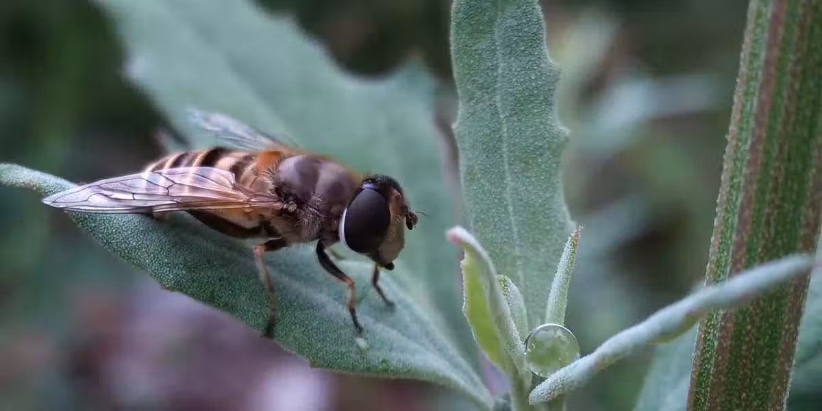 /www/bananadaily.net/web/images/image/2232/22327161.avif