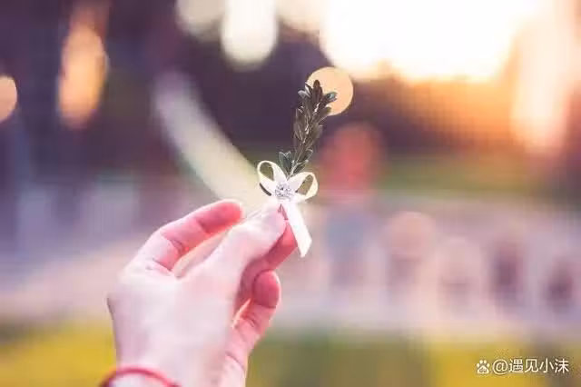/www/bananadaily.net/web/images/image/2239/22398730.avif