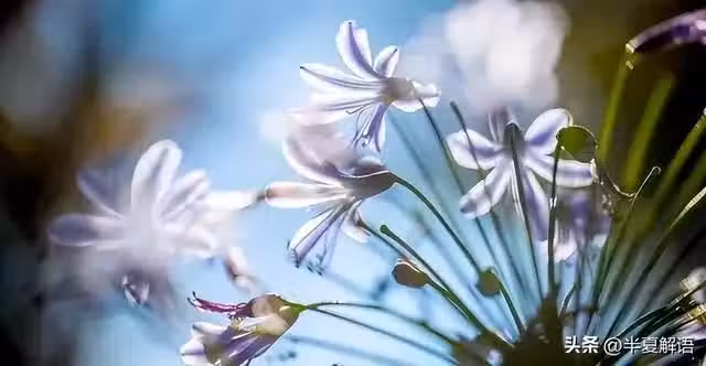 /www/bananadaily.net/web/images/image/2249/22490765.avif