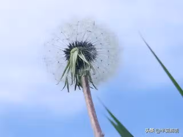 /www/bananadaily.net/web/images/image/2249/22495189.avif