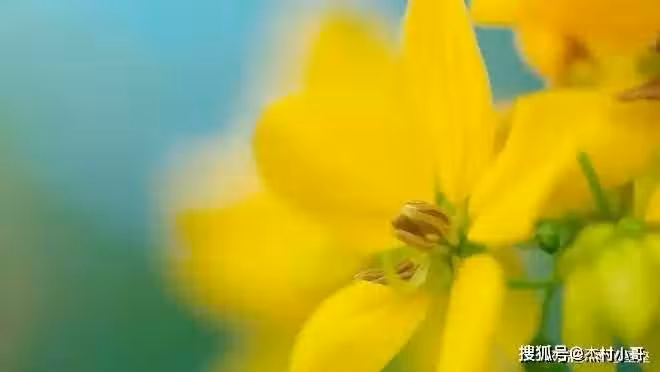 /www/bananadaily.net/web/images/image/2250/22502958.avif