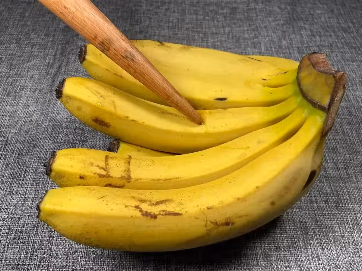 /www/bananadaily.net/web/images/image/2253/22530021.avif