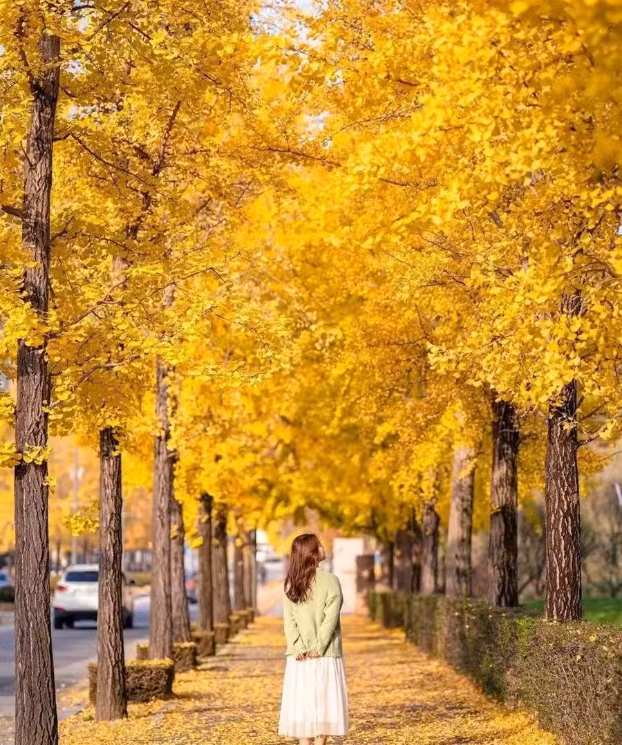 /www/bananadaily.net/web/images/image/2256/22568654.avif