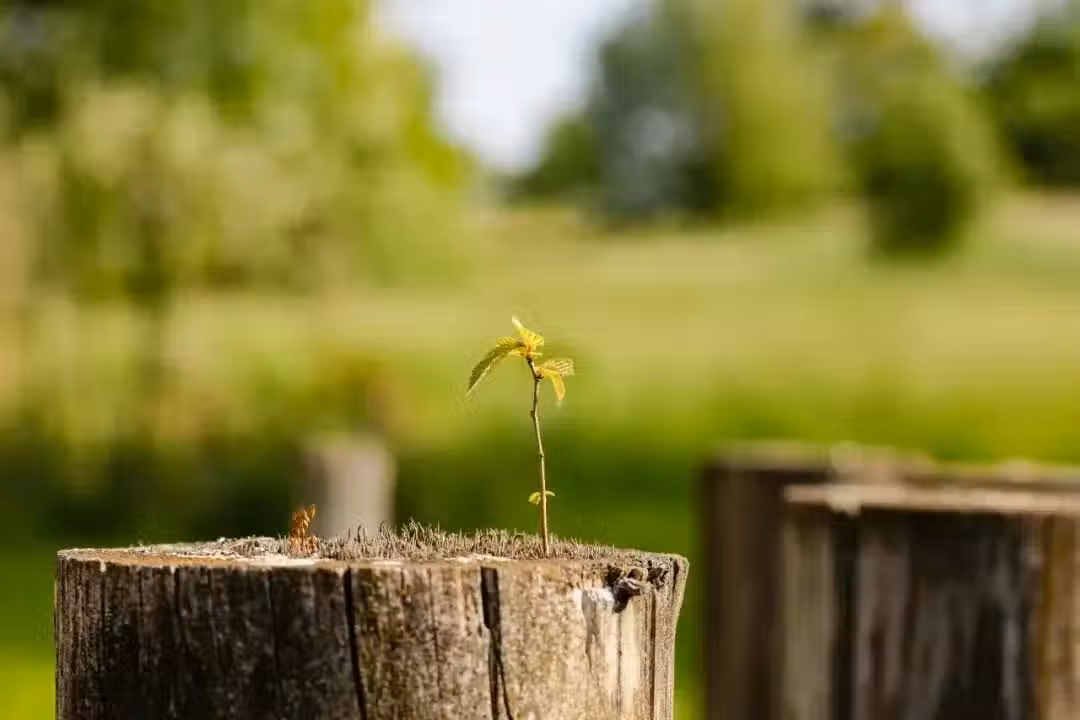 /www/bananadaily.net/web/images/image/2263/22632628.avif