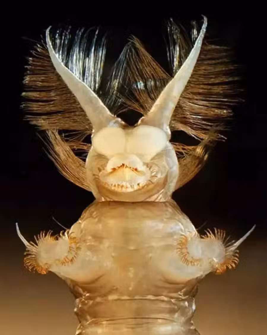 /www/bananadaily.net/web/images/image/2263/22638075.avif