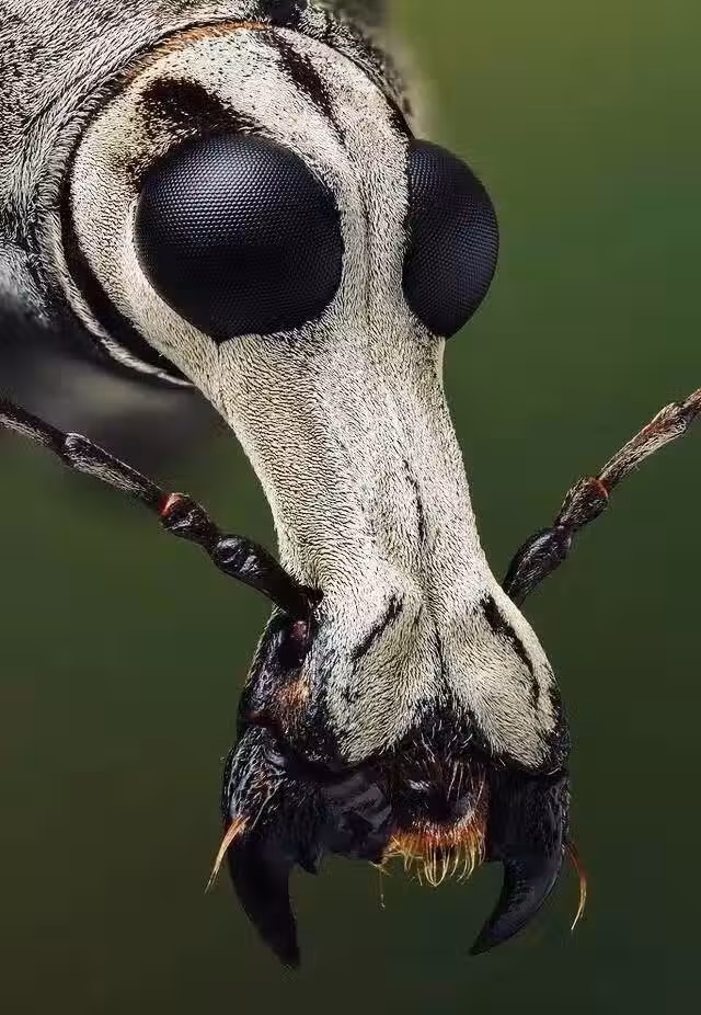 /www/bananadaily.net/web/images/image/2263/22638108.avif