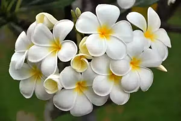 /www/bananadaily.net/web/images/image/2273/22737252.avif