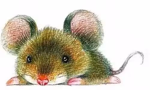 /www/bananadaily.net/web/images/image/2273/22737838.avif