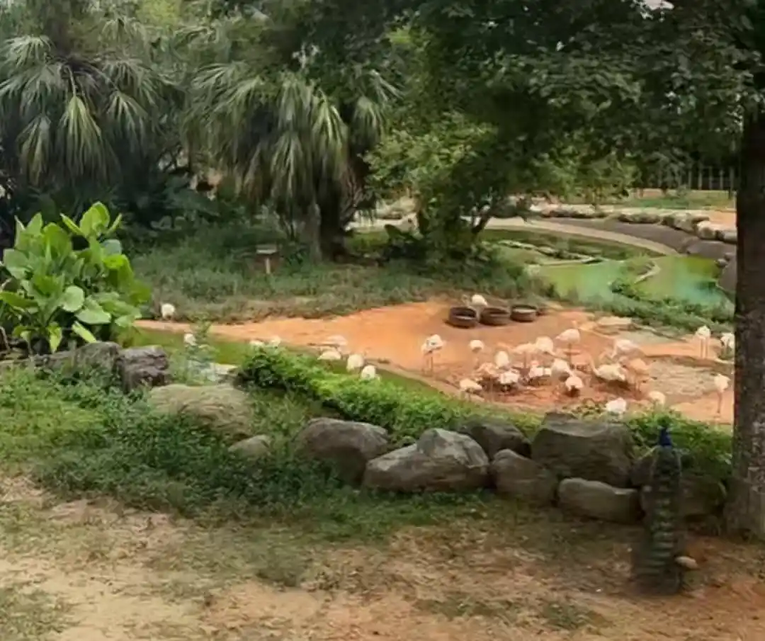 /www/bananadaily.net/web/images/image/2274/22747356.avif