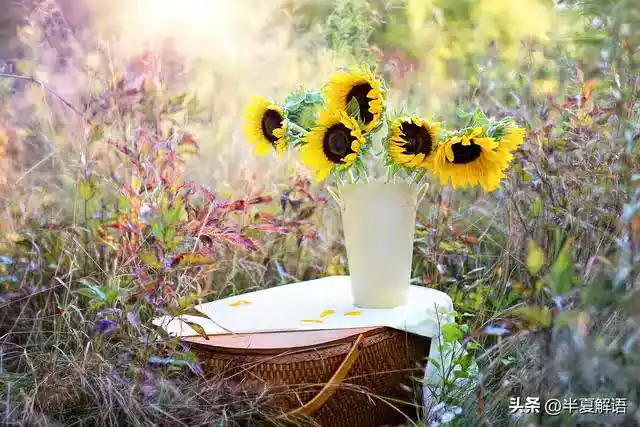/www/bananadaily.net/web/images/image/2274/22747568.avif