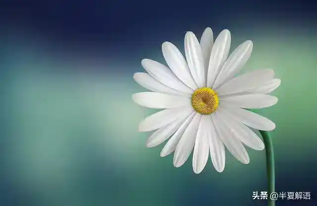 /www/bananadaily.net/web/images/image/2274/22749202.avif
