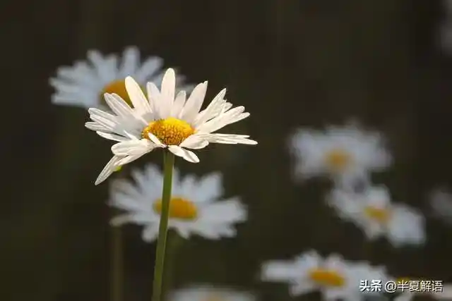/www/bananadaily.net/web/images/image/2274/22749218.avif