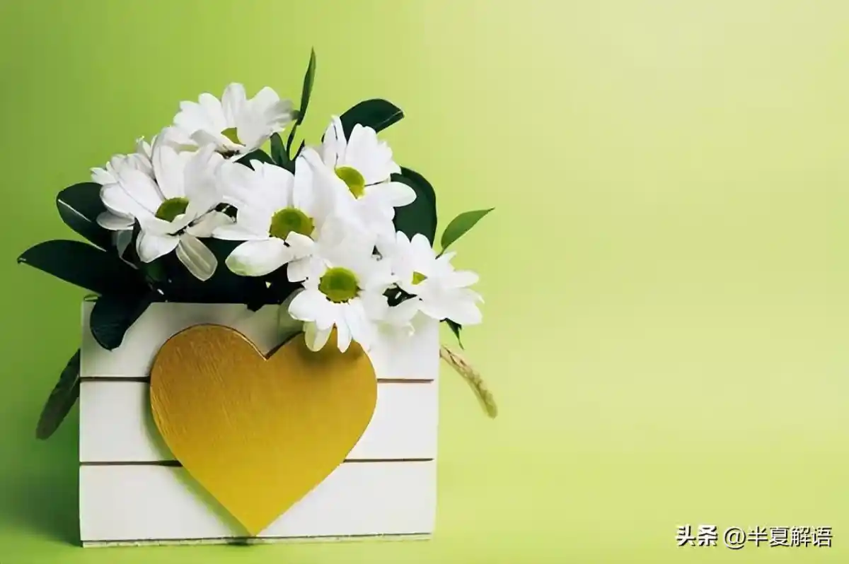 /www/bananadaily.net/web/images/image/2274/22749243.avif