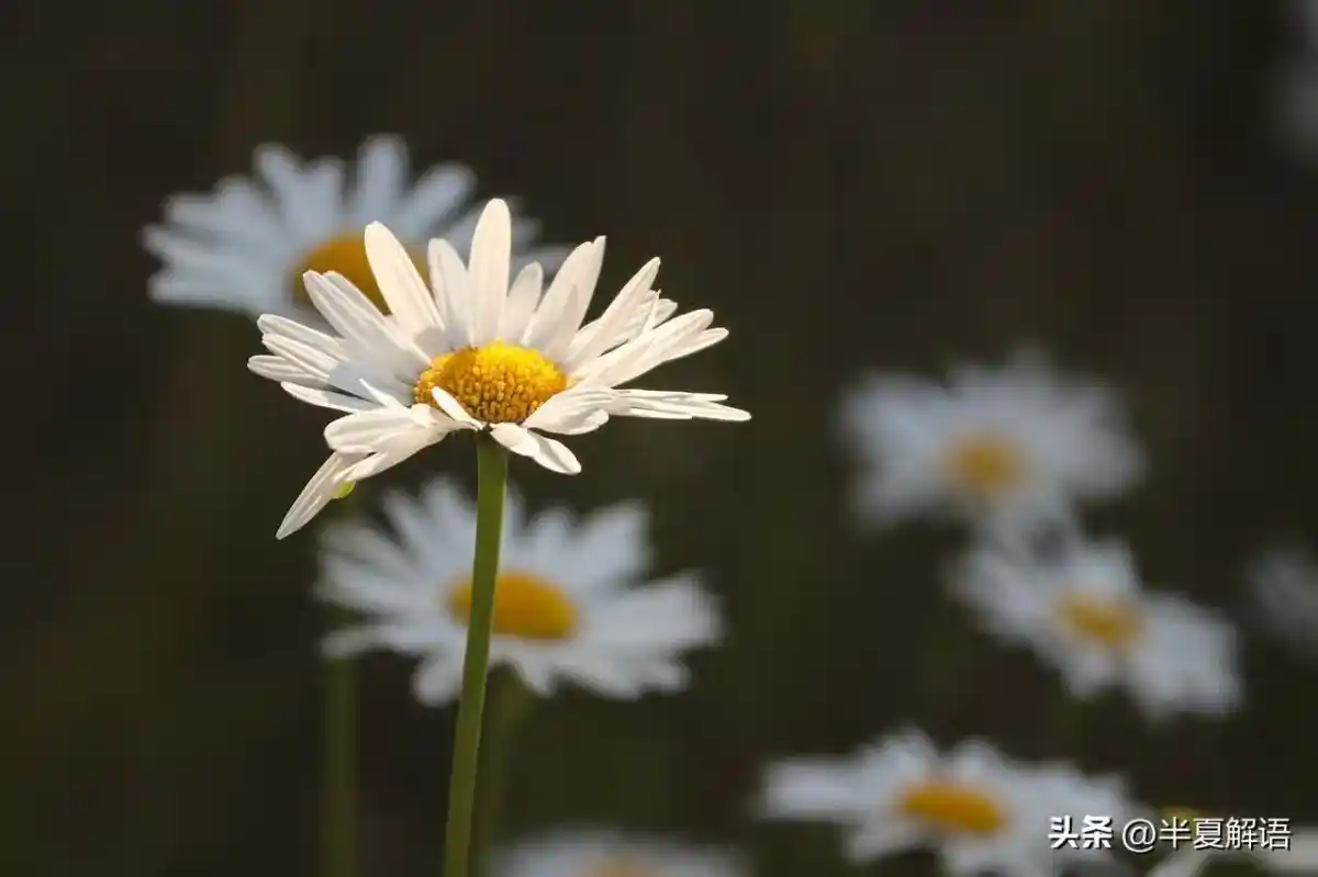 /www/bananadaily.net/web/images/image/2274/22749244.avif