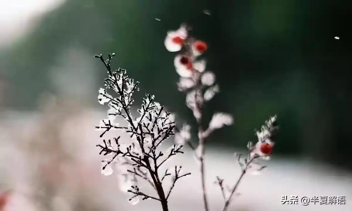 /www/bananadaily.net/web/images/image/2274/22749246.avif